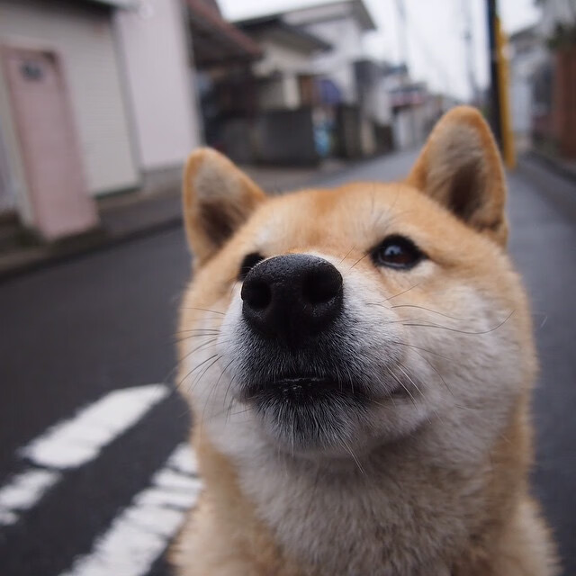 “青春激扬”全国青少年少年篮球竞技体验日火热开启,推广运动文化