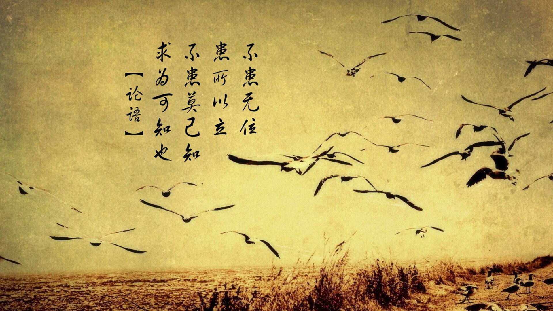 AYX官网-CBA联盟发布新赛季球员评价体系，公平竞技更上层楼，cba球员评分