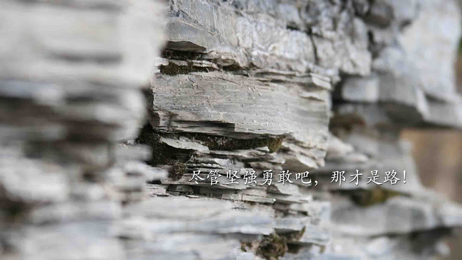 _骑士年轻核心持续爆发，未来可期_，骑士king