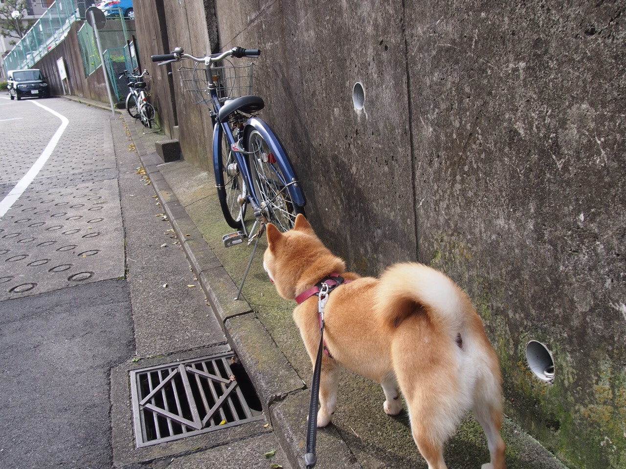 爱游戏中国官方登录入口网站-《Dota 2天王之争，最后时刻逆转精彩绝伦》，dota2 天降魔王