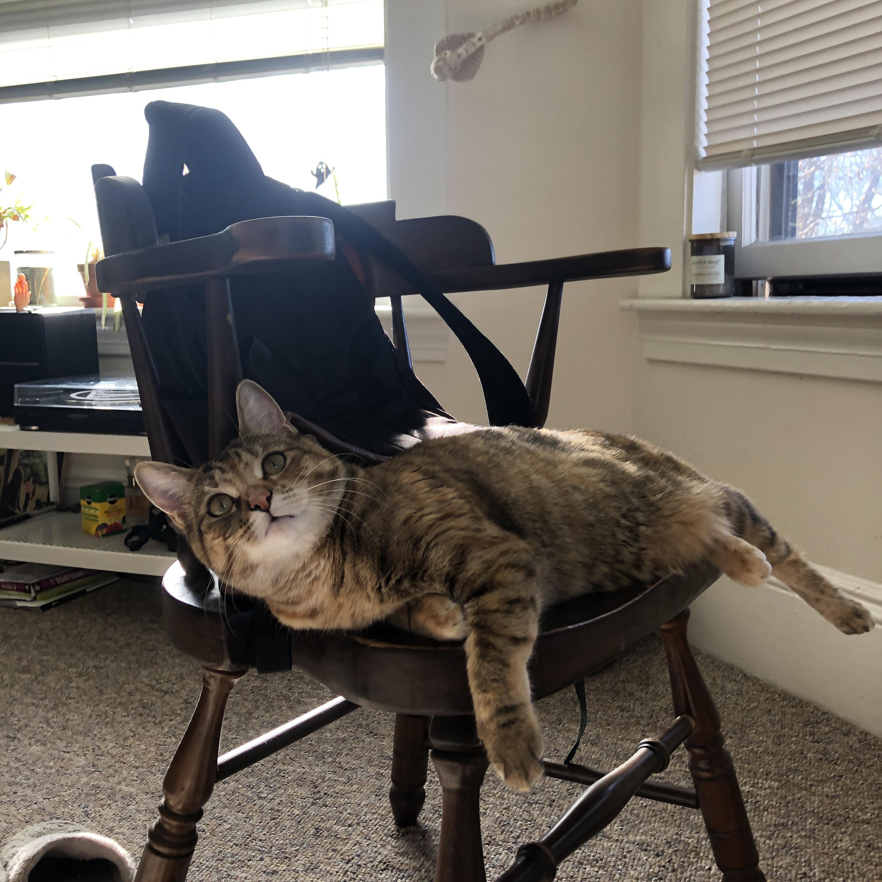 全国青少年“篮球知识普及”培训在重庆全面铺开，青少年篮球培训学校