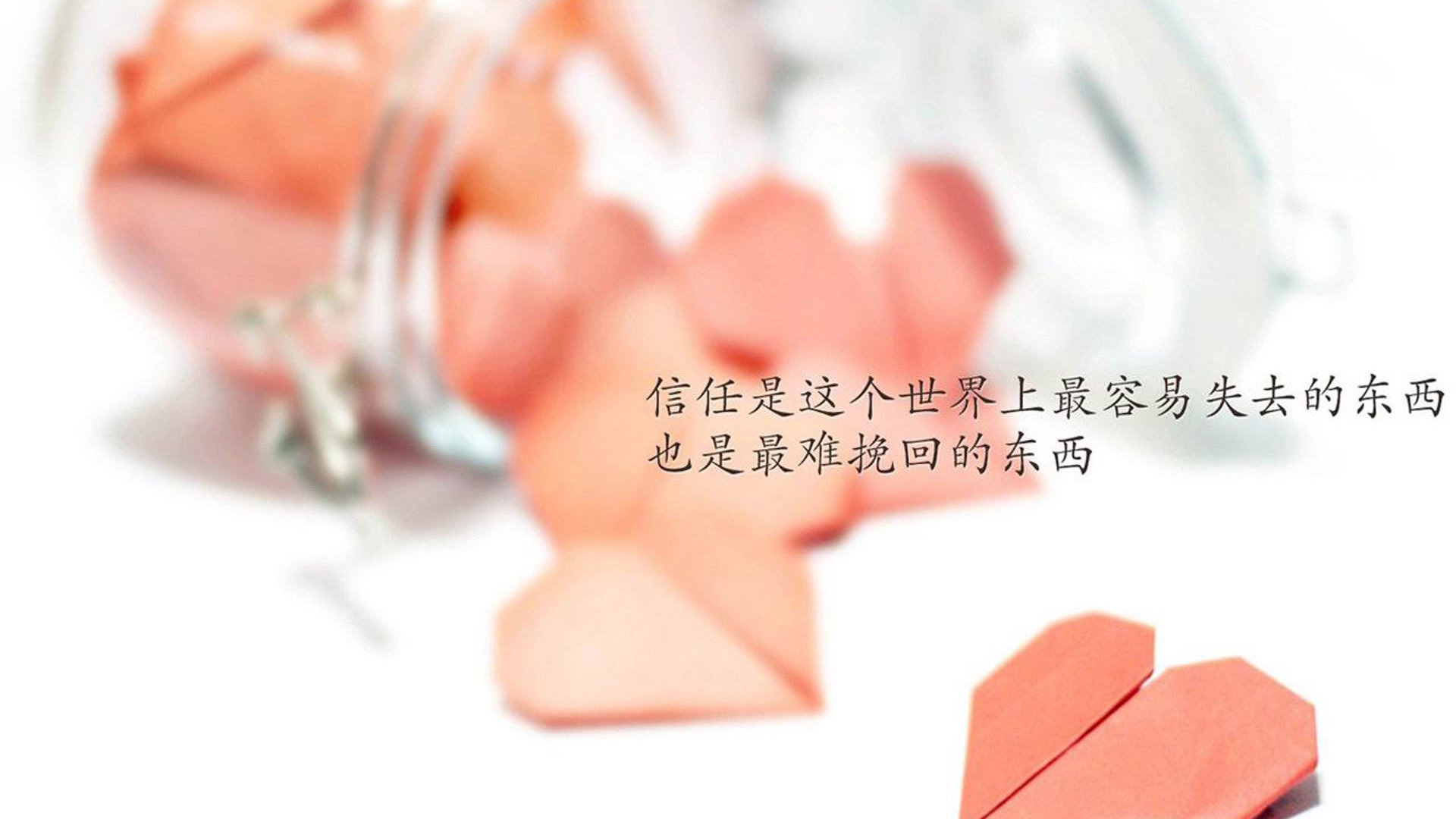 团队精神:冠军车队的铁血纪律,车队团结力量大