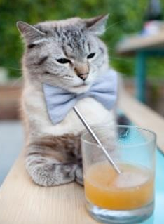 塞内加尔震撼亮相冬奥足球赛场,首战击败瑞士,塞内加尔国家队最新大名单