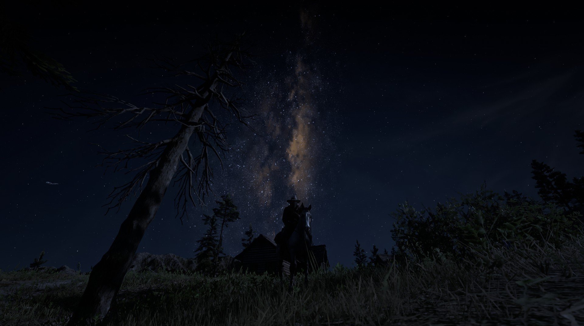 多特蒙德未来之星崭露头角，多特蒙德新人