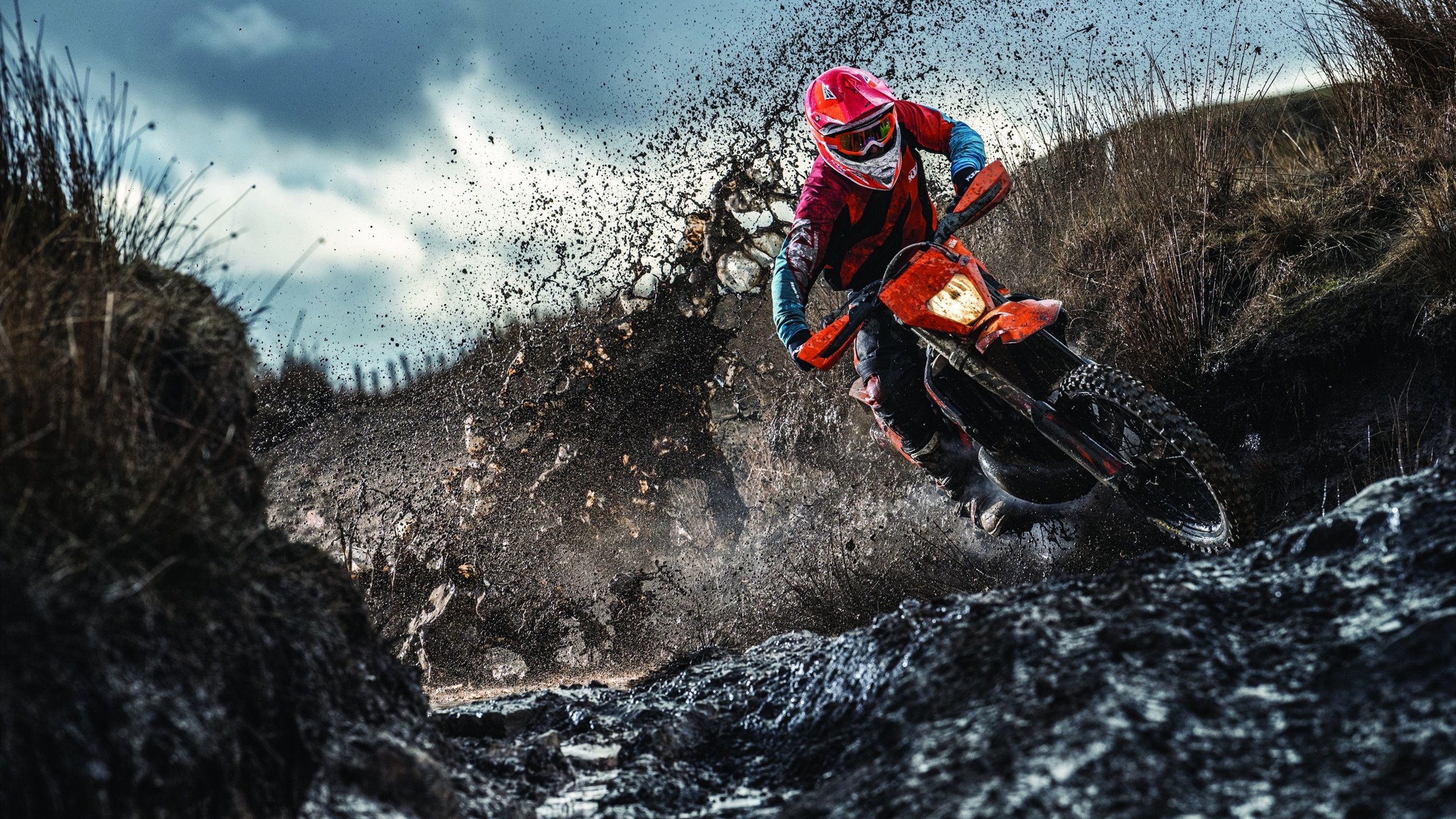 “霍斯特全能防守,帮助南非队成为世界顶级强队”